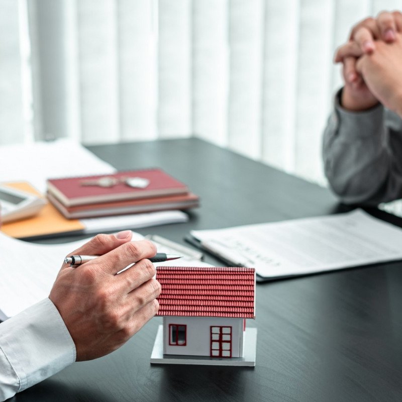 Painting consultation at home