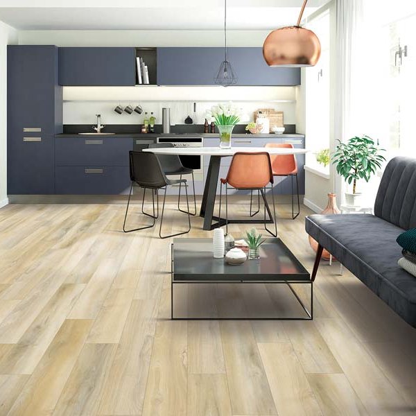 Compact kitchen with Luxury Vinyl floors in Shakopee, MN